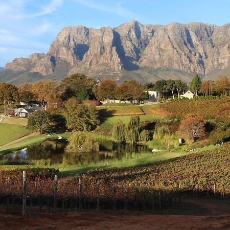 Alluvia Boutique Winery & Luxury Accommodation ستيلينبوش المظهر الخارجي الصورة The Paarl Mountain Range