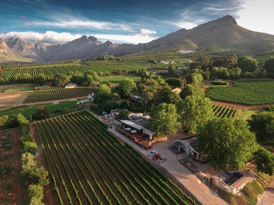 Alluvia Boutique Winery & Luxury Accommodation ستيلينبوش المظهر الخارجي الصورة Aerial view of the winery