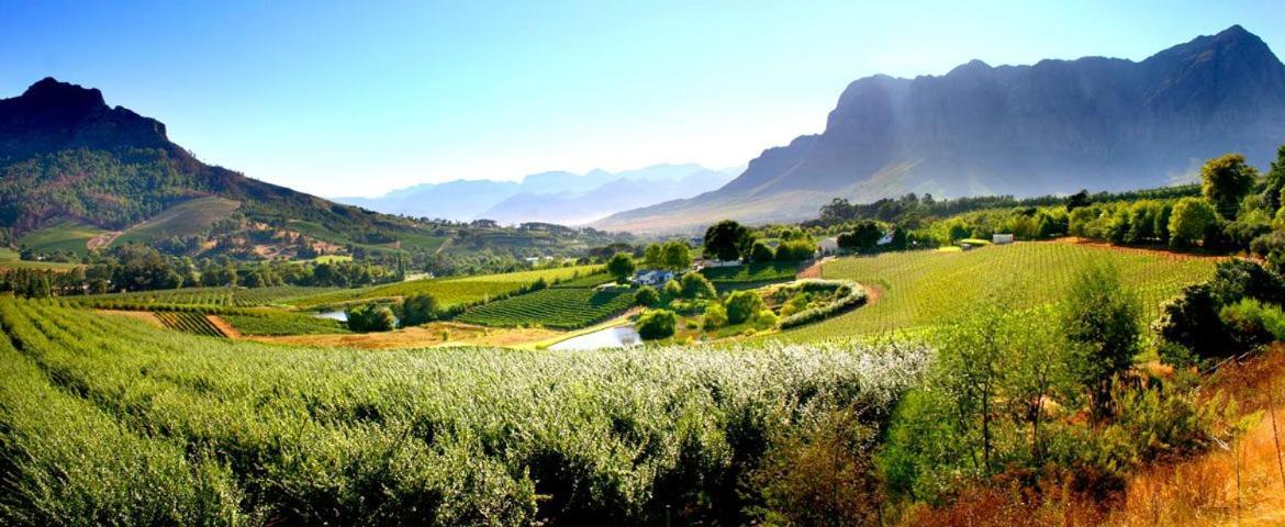 Alluvia Boutique Winery & Luxury Accommodation ستيلينبوش المظهر الخارجي الصورة The Paarl Wine Route