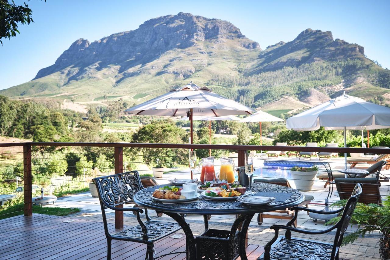 Alluvia Boutique Winery & Luxury Accommodation ستيلينبوش المظهر الخارجي الصورة View of the Kleinrivierveld