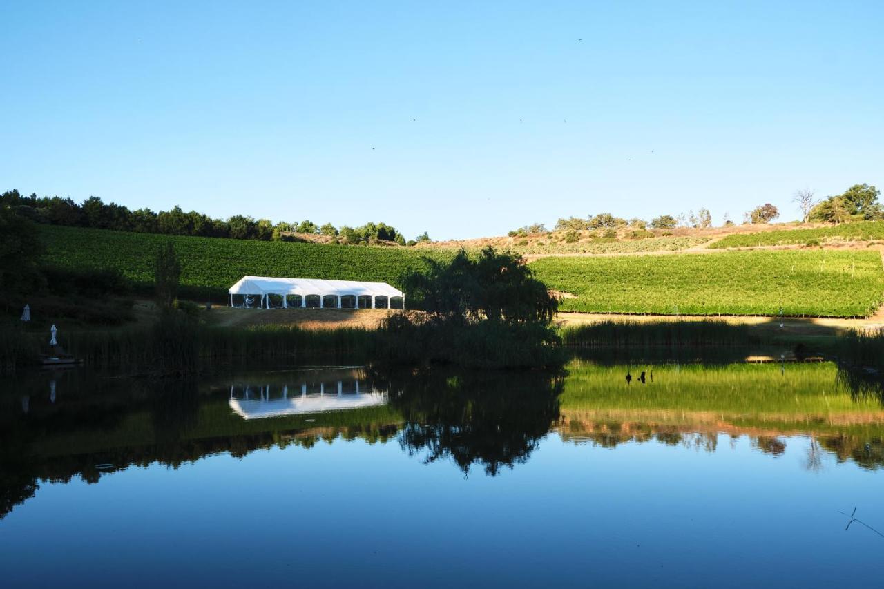Alluvia Boutique Winery & Luxury Accommodation ستيلينبوش المظهر الخارجي الصورة The vineyard at the winery