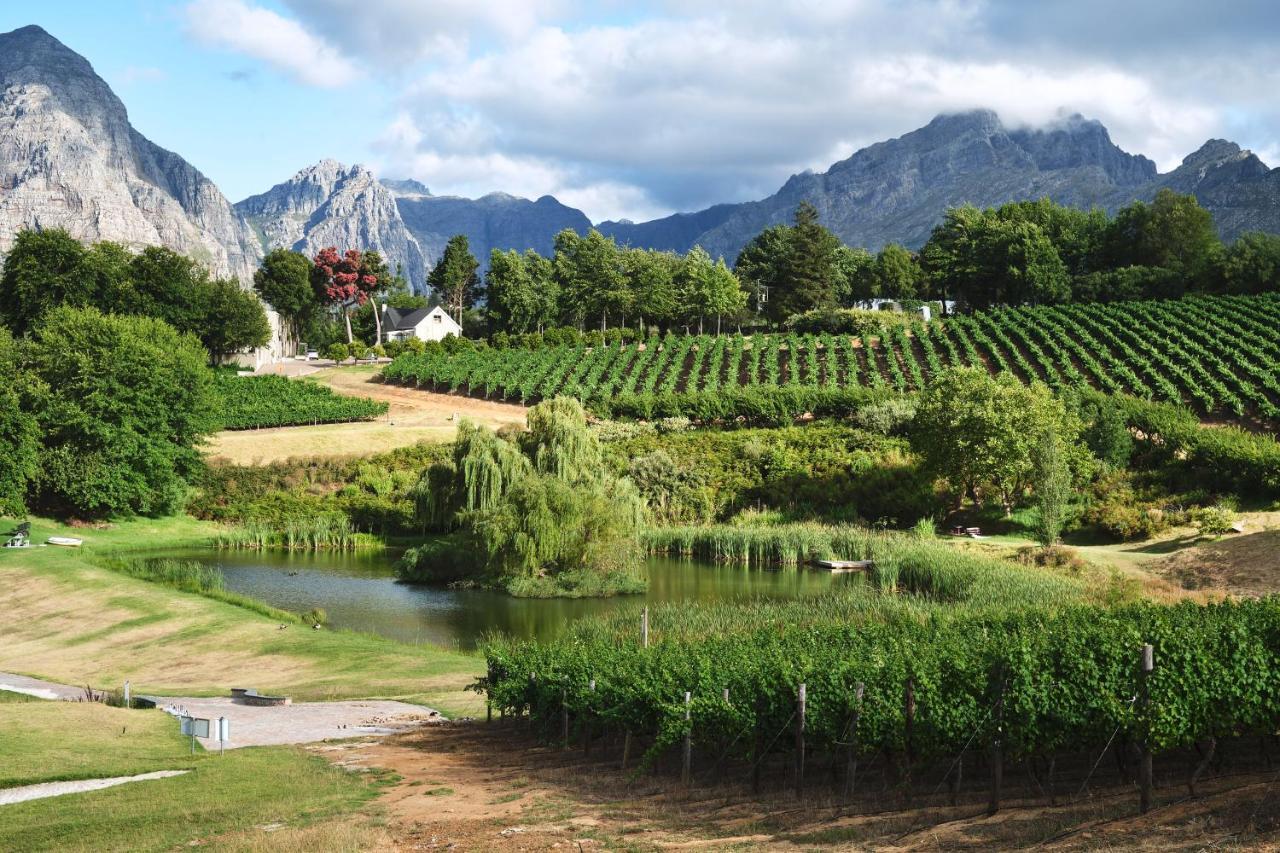 Alluvia Boutique Winery & Luxury Accommodation ستيلينبوش المظهر الخارجي الصورة Wine estate in Stellenbosch