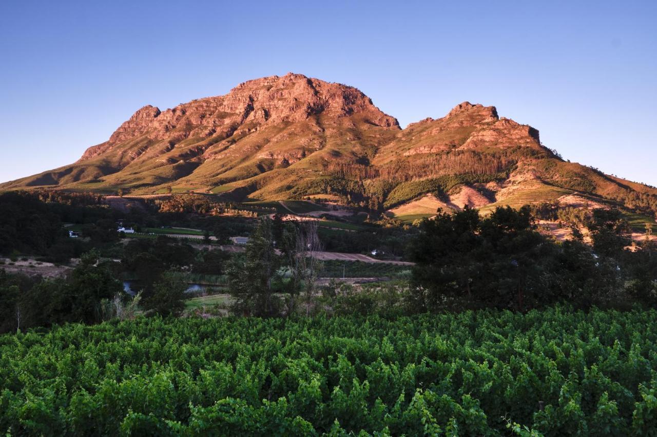 Alluvia Boutique Winery & Luxury Accommodation ستيلينبوش المظهر الخارجي الصورة The Paarl Mountain