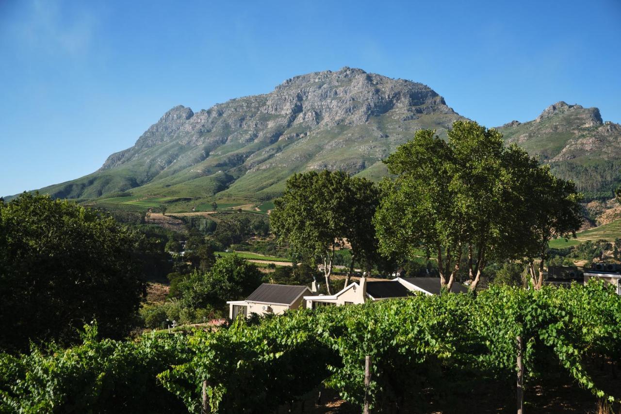 Alluvia Boutique Winery & Luxury Accommodation ستيلينبوش المظهر الخارجي الصورة Wine estate in Stellenbosch
