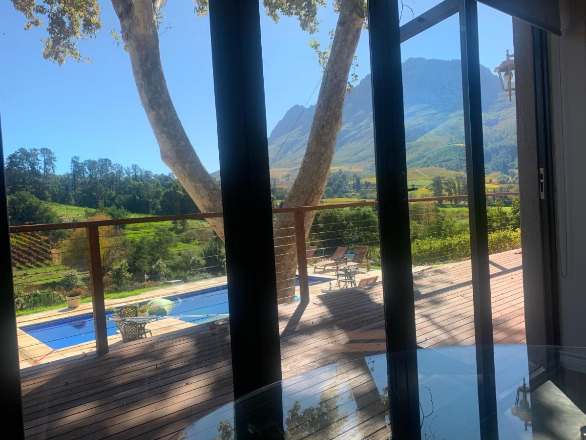 Alluvia Boutique Winery & Luxury Accommodation ستيلينبوش الغرفة الصورة