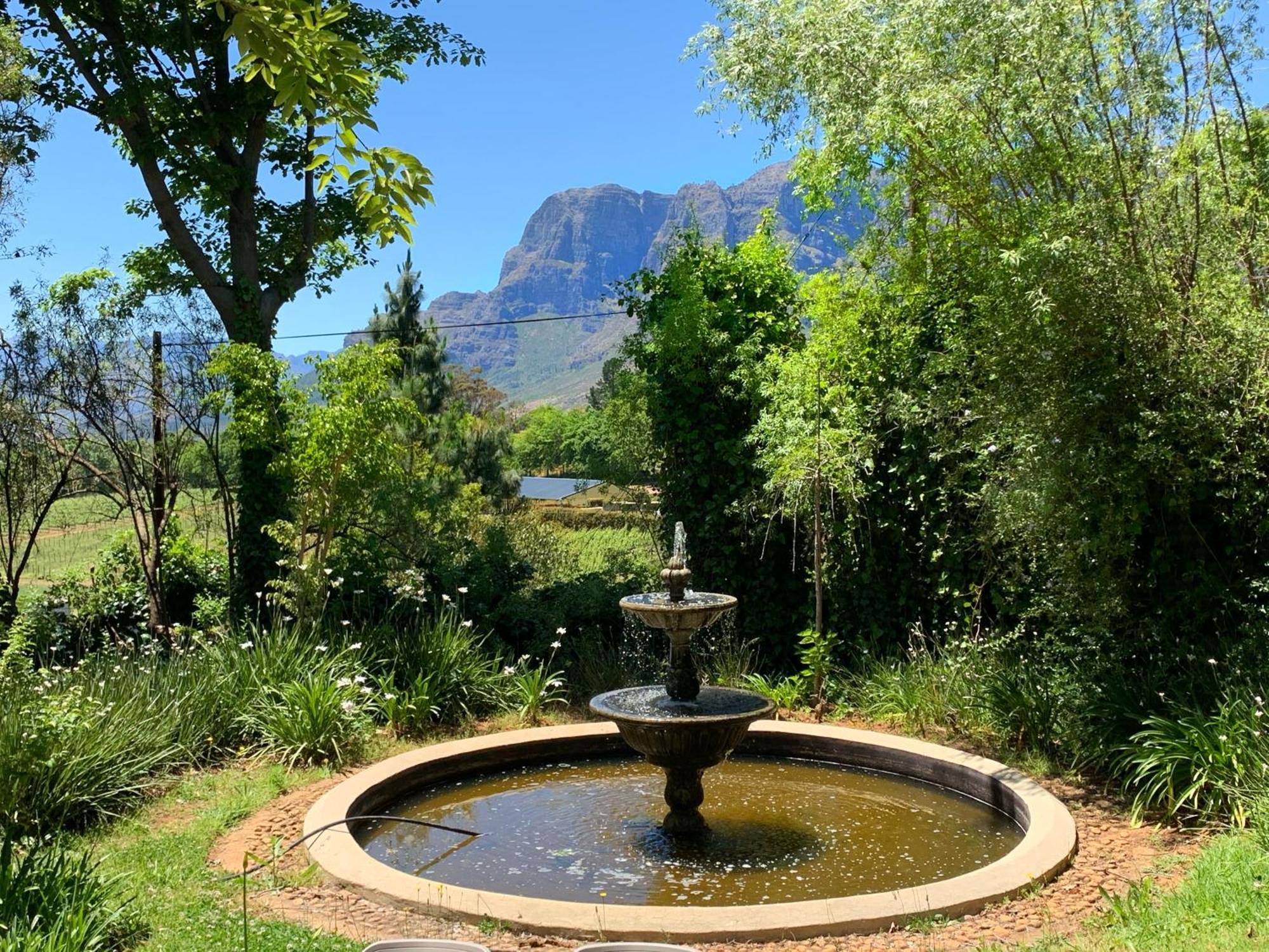 Alluvia Boutique Winery & Luxury Accommodation ستيلينبوش الغرفة الصورة Fountain at the entrance of the Tokai Arboretum